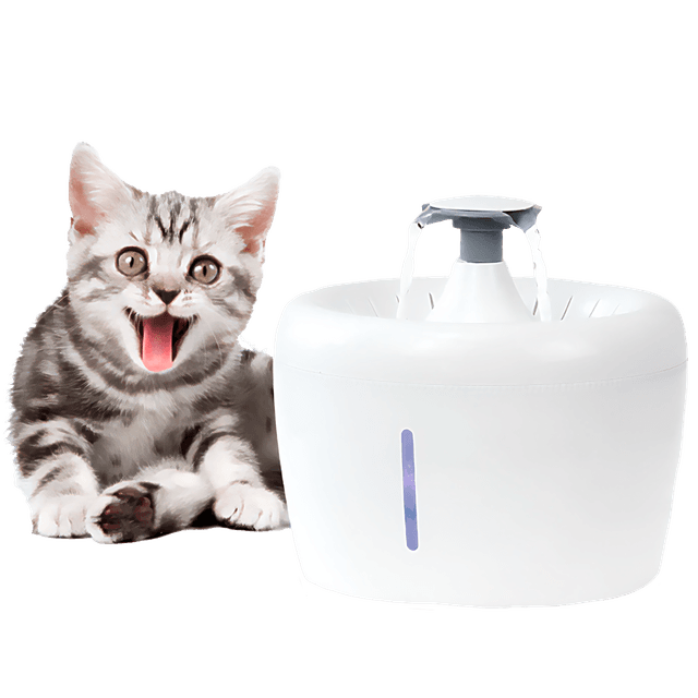 Mundo Gatuno